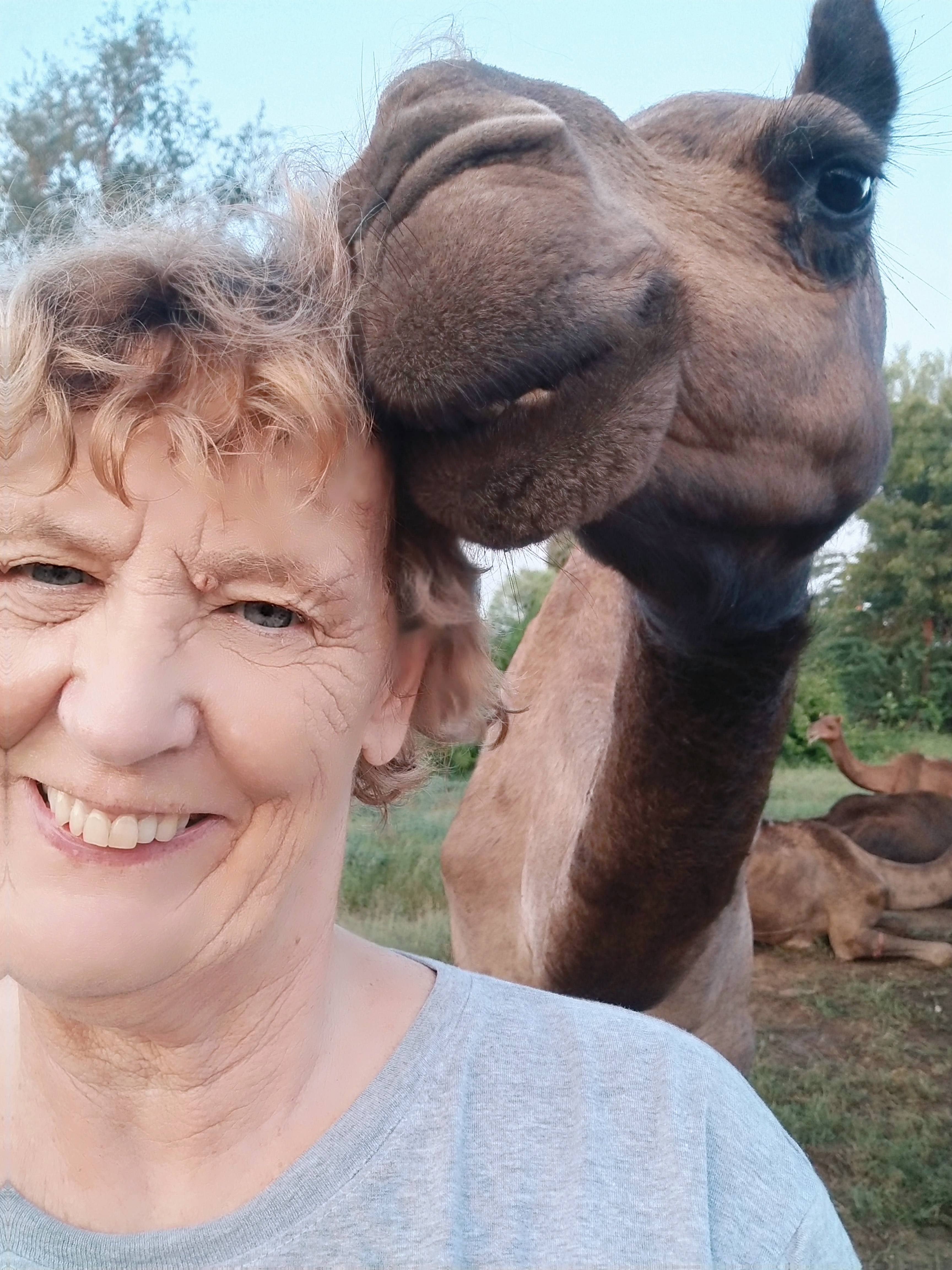 DR. MED. VET. HABIL ILSE ULRIKE KÖHLER-ROLLEFSON